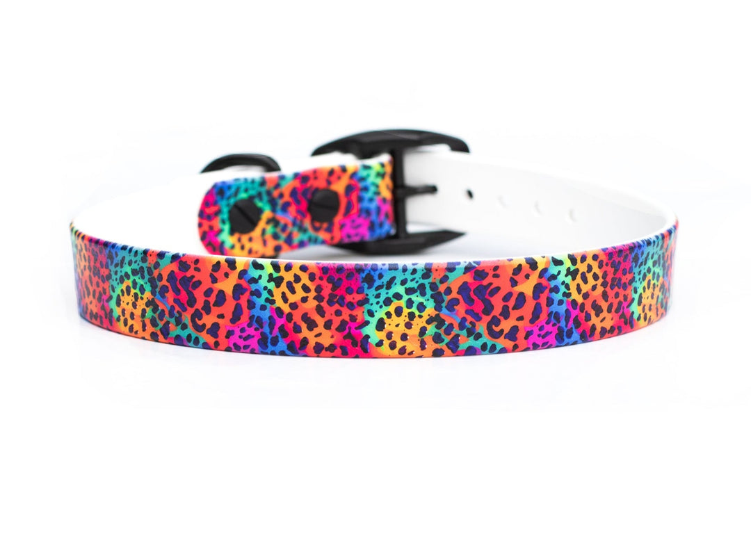 Rainbow Leopard BioThane® Dog Collar | SeaFlower Co