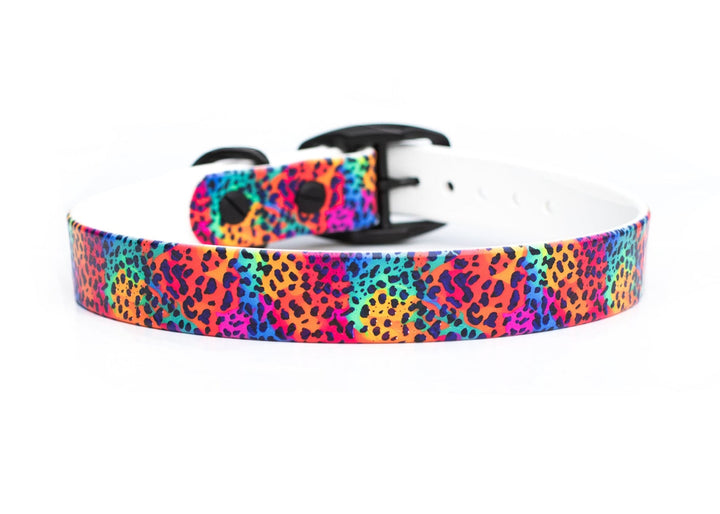 Rainbow Leopard BioThane® Dog Collar | SeaFlower Co