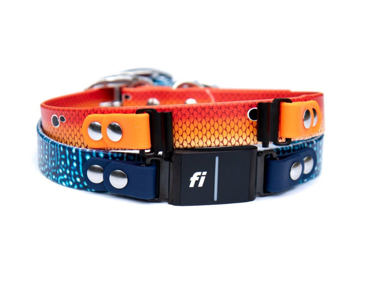 Patterned BioThane Fi 3 Compatible Collars