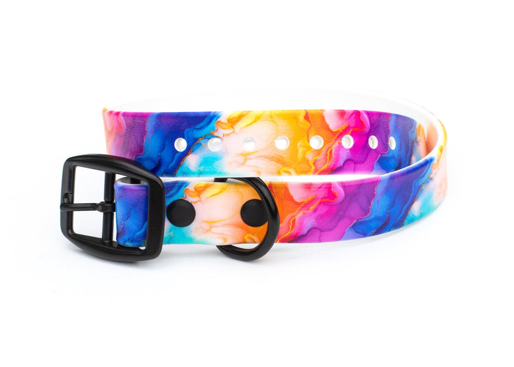 Rainbow BioThane® Dog Collar | Waterproof Dog Gear
