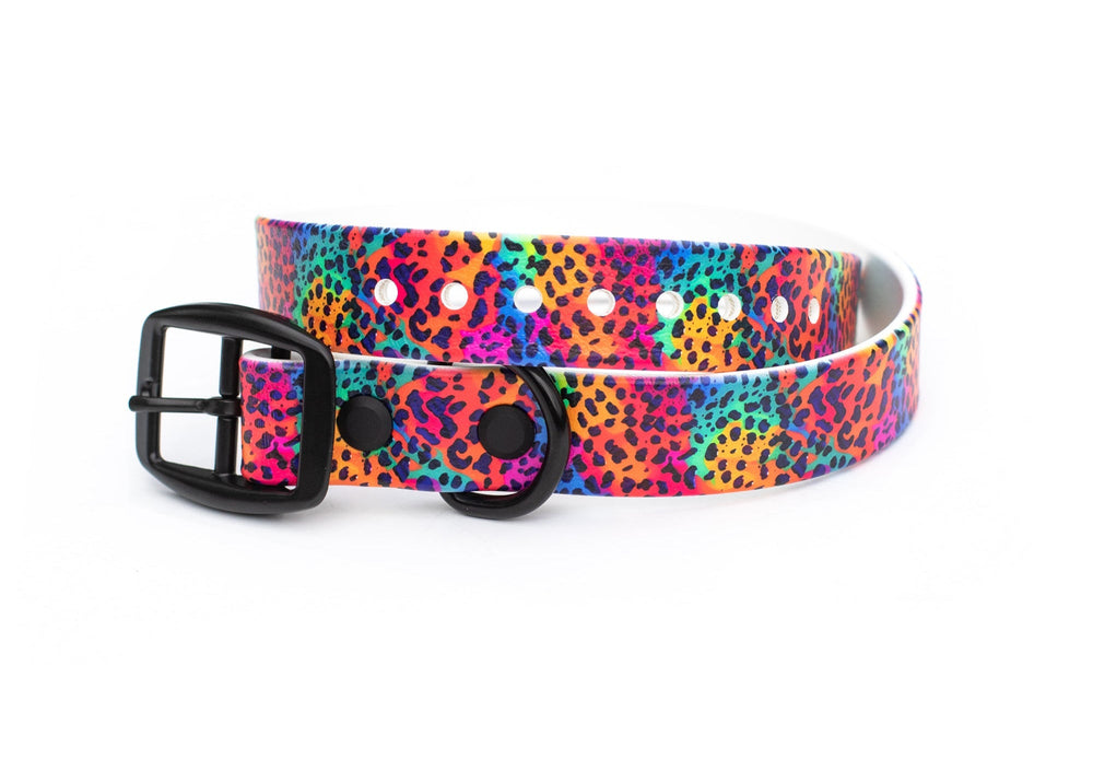 Rainbow Leopard BioThane® Dog Collar | SeaFlower Co
