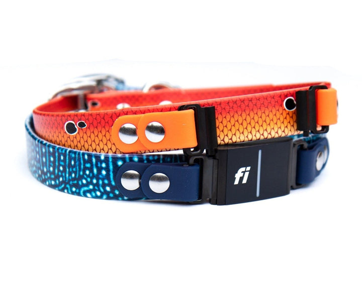 Patterned BioThane Fi 3 Compatible Collars