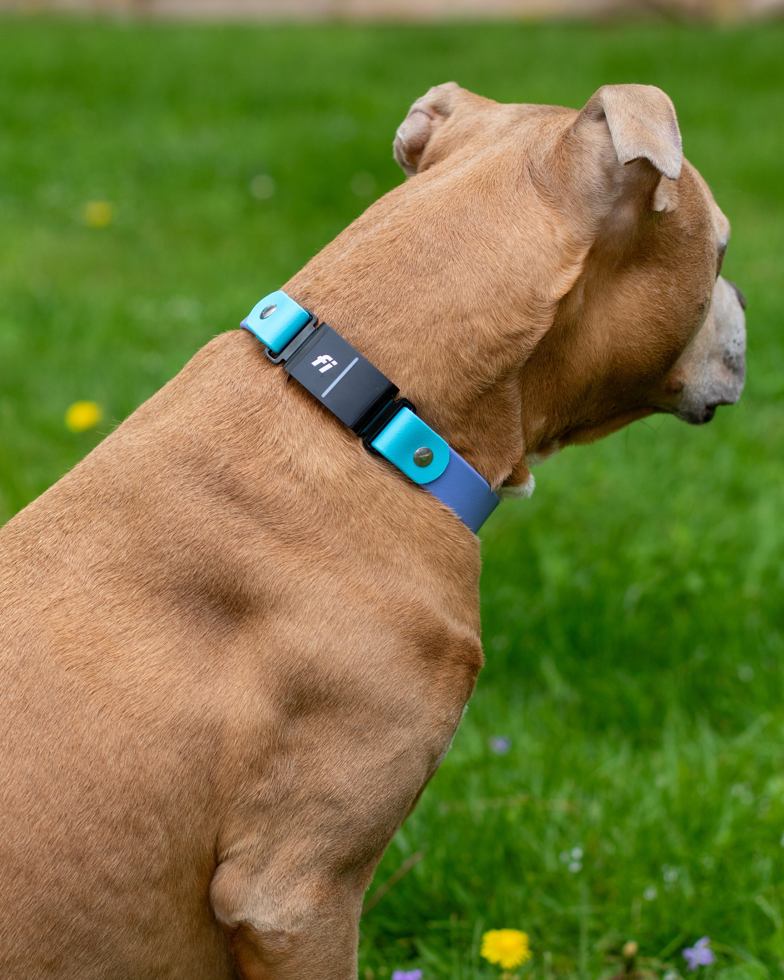 Fi Compatible Waterproof 3/4