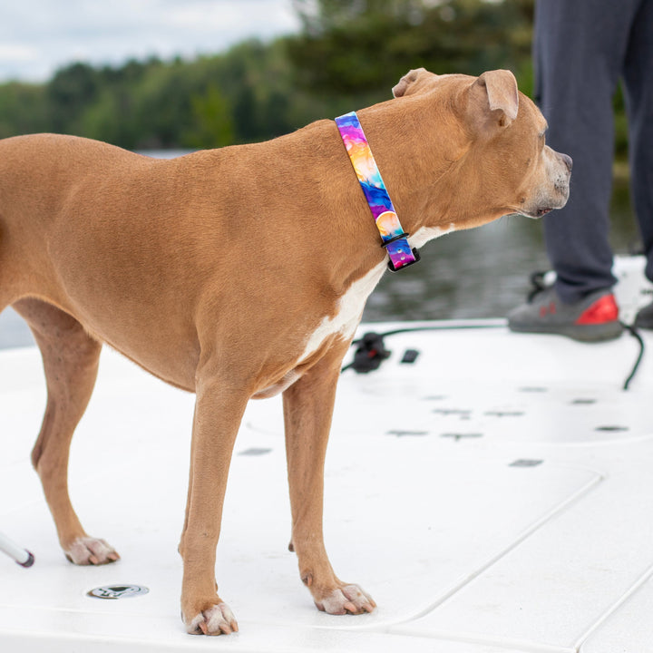 Vibrant Rainbow Printed BioThane® Collar | Waterproof Dog Gear | SeaFlower Co