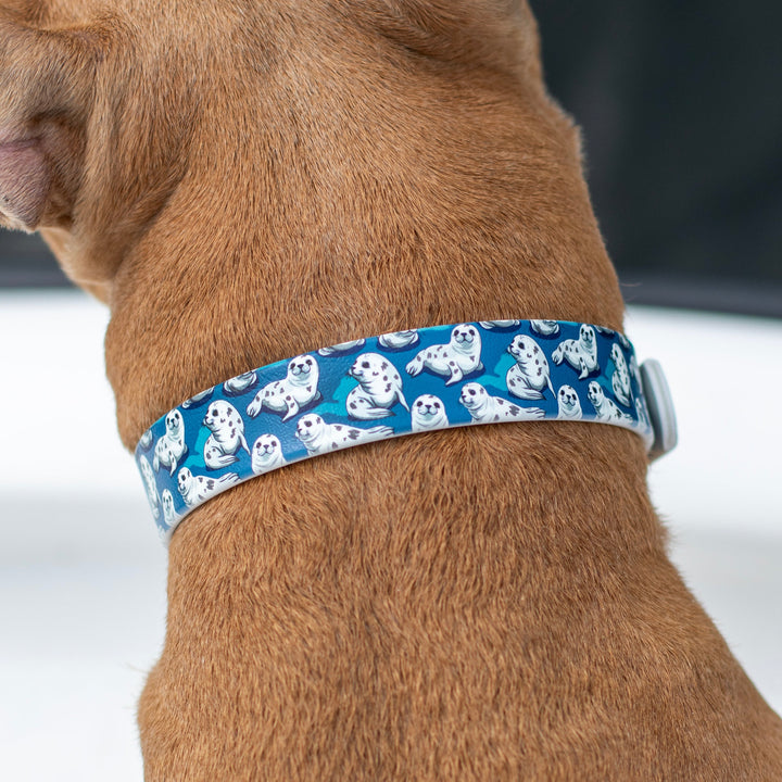 Cute Seals UV printed BioThane® Dog Collar | Waterproof Dog Gear | SeaFlower Co