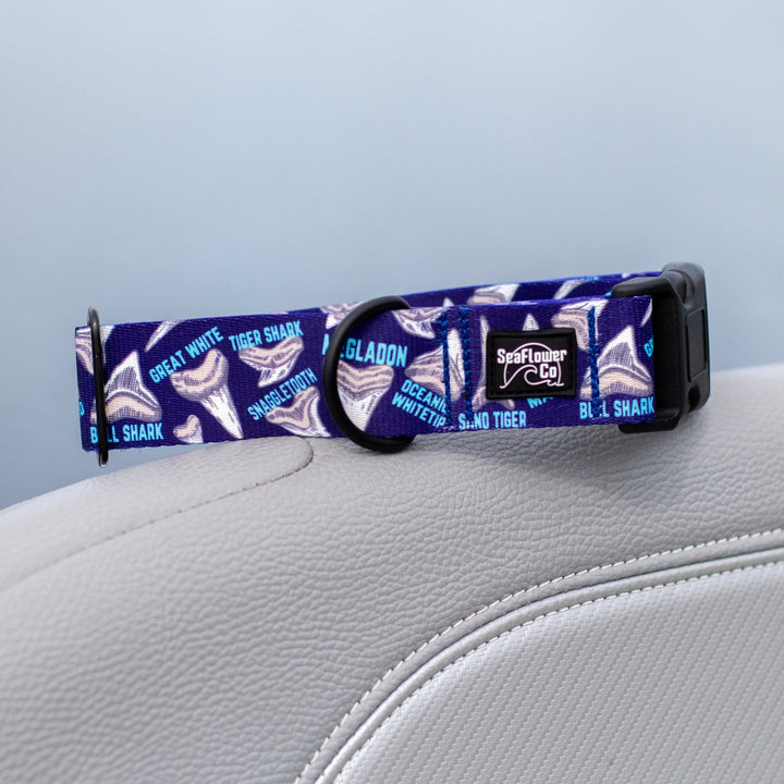 Shark Teeth Dog Collar | SeaFlower Co