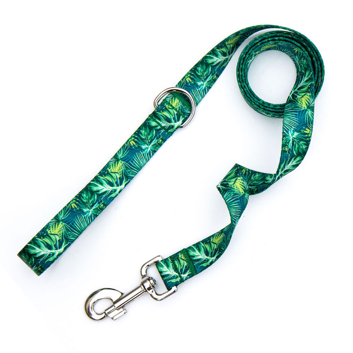 Aruba Leash