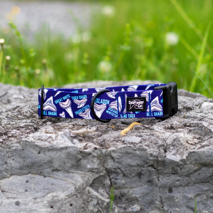 Shark Teeth Dog Collar | SeaFlower Co