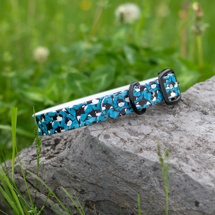 Orca BioThane Dog Collar | Waterproof Dog Gear