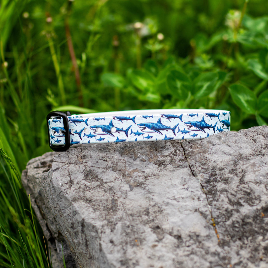 Great White Shark BioThane® Dog Collar | Waterproof Dog Gear