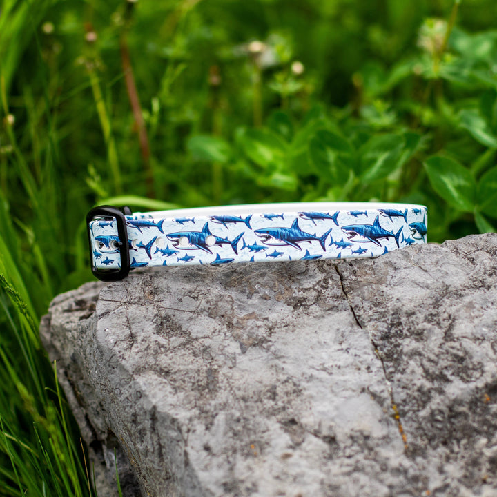 Great White Shark BioThane® Dog Collar | Waterproof Dog Gear