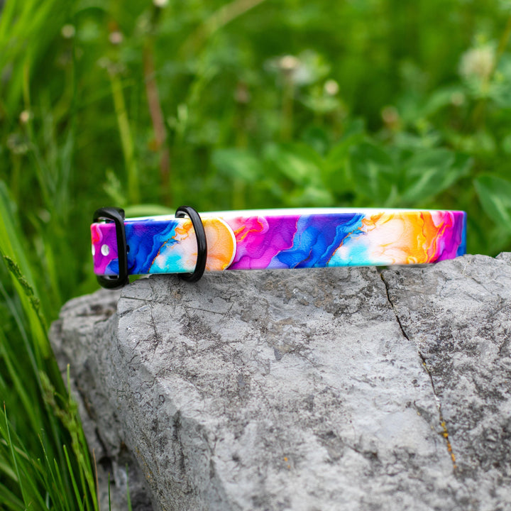 Vibrant Rainbow UV Printed BioThane® Collar | Waterproof Dog Gear | SeaFlower Co