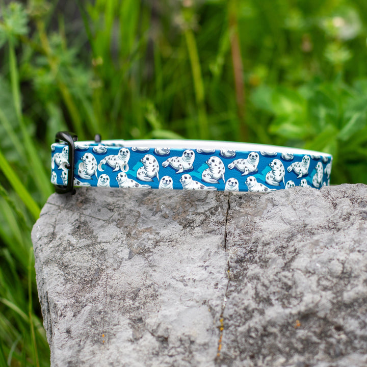 Cute Seals UV printed BioThane® Dog Collar | Waterproof Dog Gear | SeaFlower Co