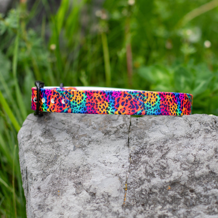 Rainbow Leopard BioThane® Dog Collar | SeaFlower Co