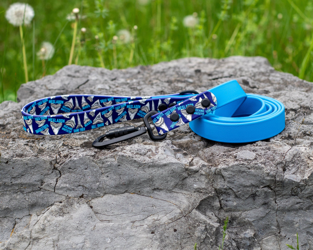 Shark Teeth UV printed BioThane® Dog Leash | Waterproof Dog Gear | SeaFlower Co