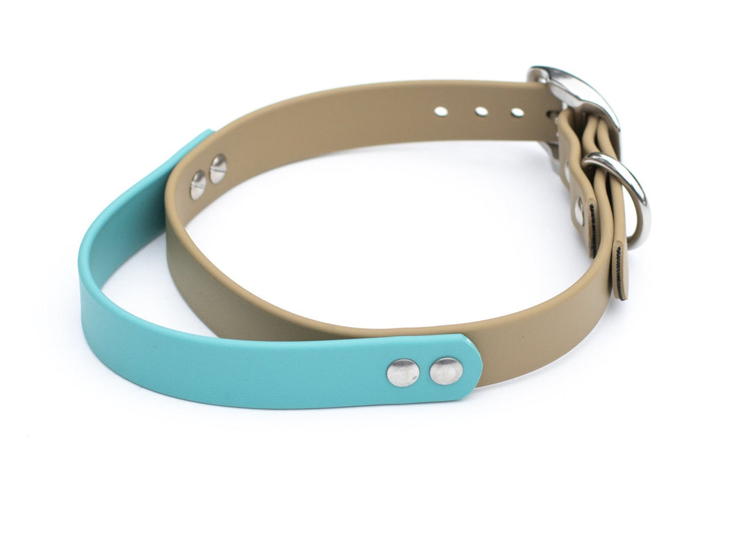 BioThane Collar With Handle | Waterproof Dog Gear