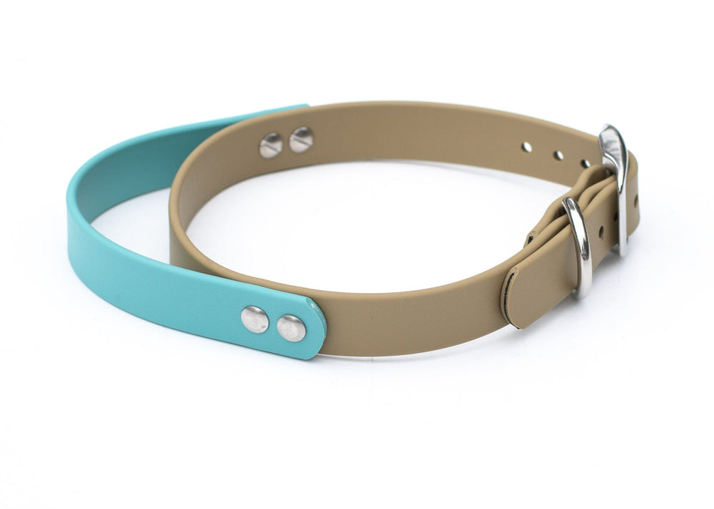 BioThane Collar With Handle | Waterproof Dog Gear