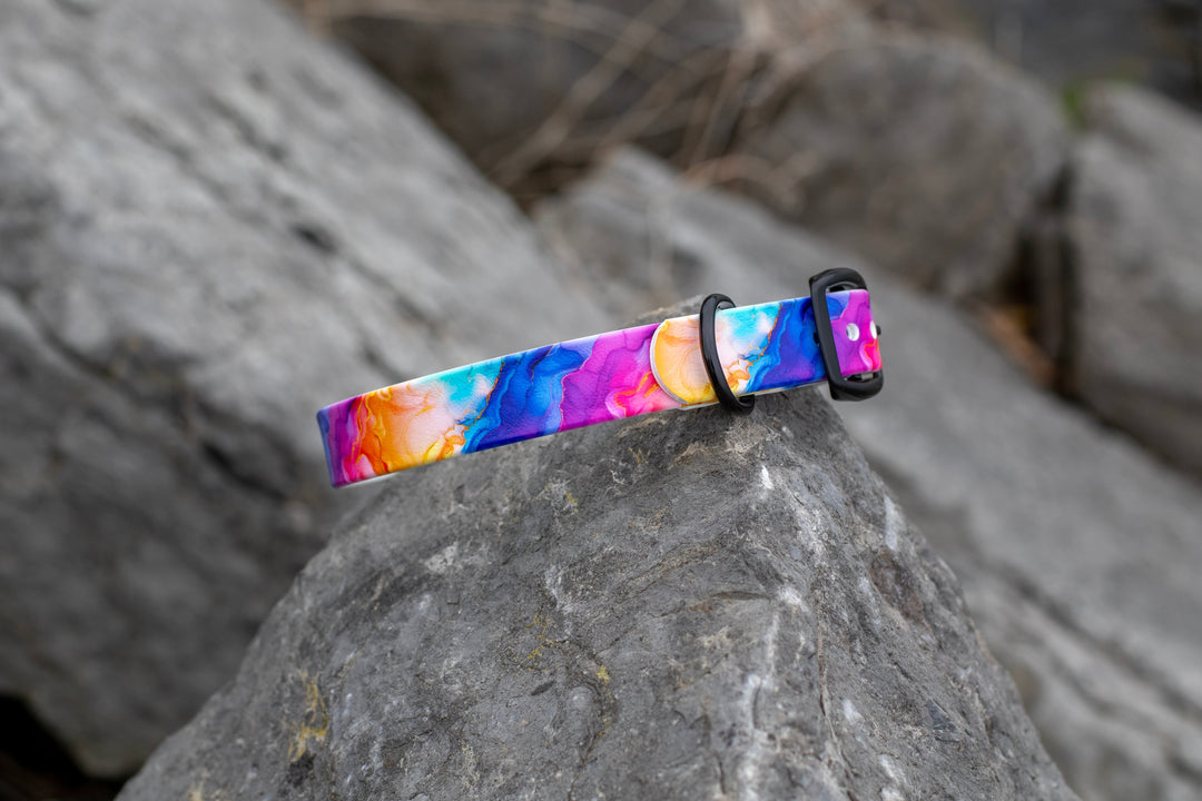 Vibrant Rainbow UV Printed BioThane® Collar | Waterproof Dog Gear | SeaFlower Co