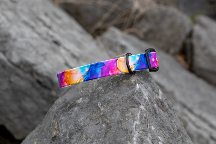Vibrant Rainbow UV Printed BioThane® Collar | Waterproof Dog Gear | SeaFlower Co
