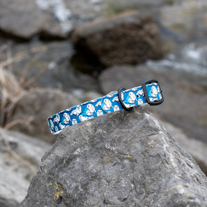 Cute Seals UV printed BioThane® Dog Collar | Waterproof Dog Gear | SeaFlower Co