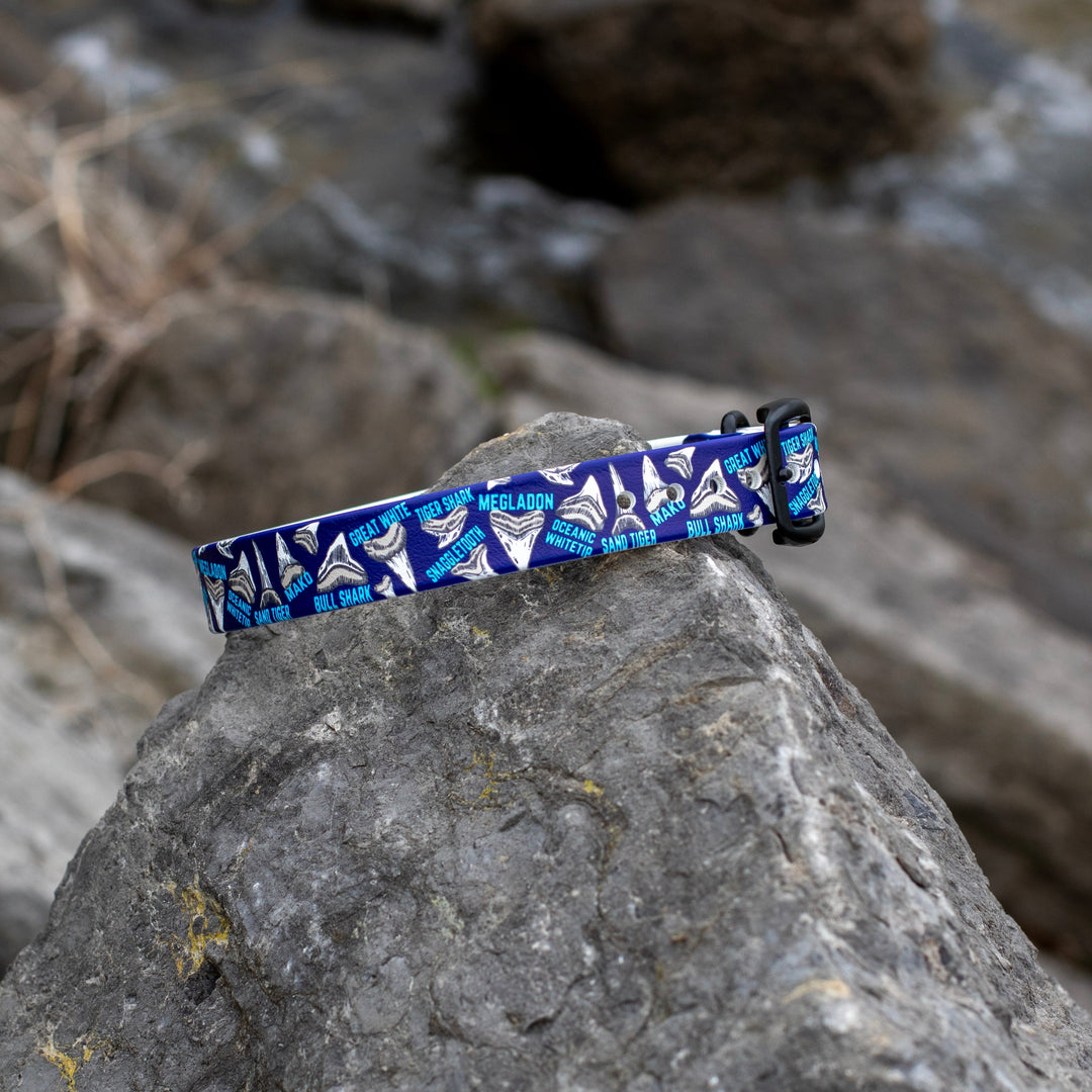 Shark Teeth BioThane® Dog Collar | Waterproof Dog Gear