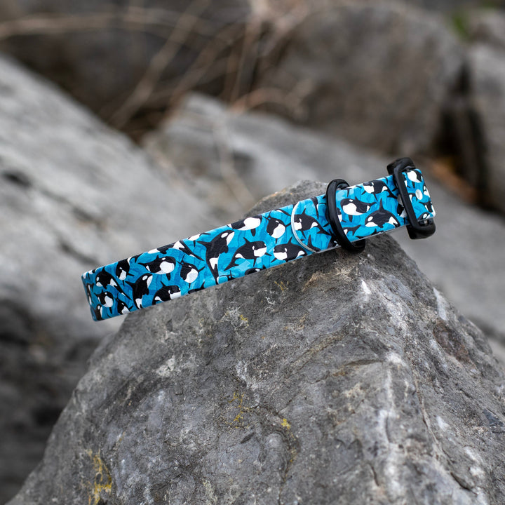 Orca BioThane Dog Collar | Waterproof Dog Gear