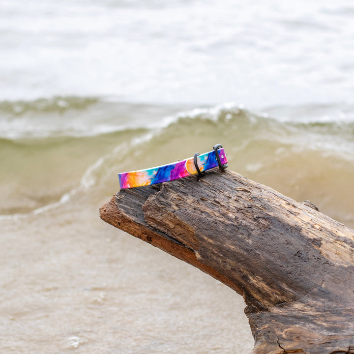 Vibrant Rainbow UV Printed BioThane® Collar | Waterproof Dog Gear | SeaFlower Co
