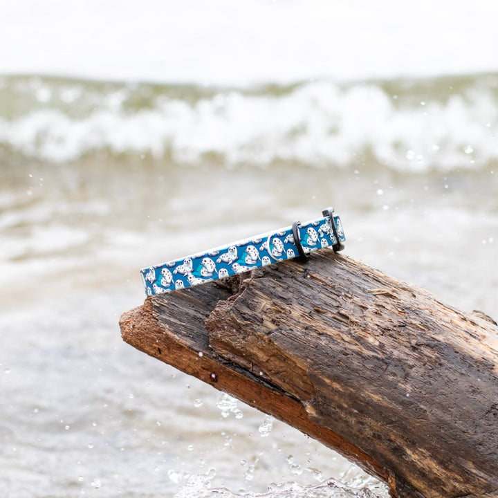 Cute Seals UV printed BioThane® Dog Collar | Waterproof Dog Gear | SeaFlower Co