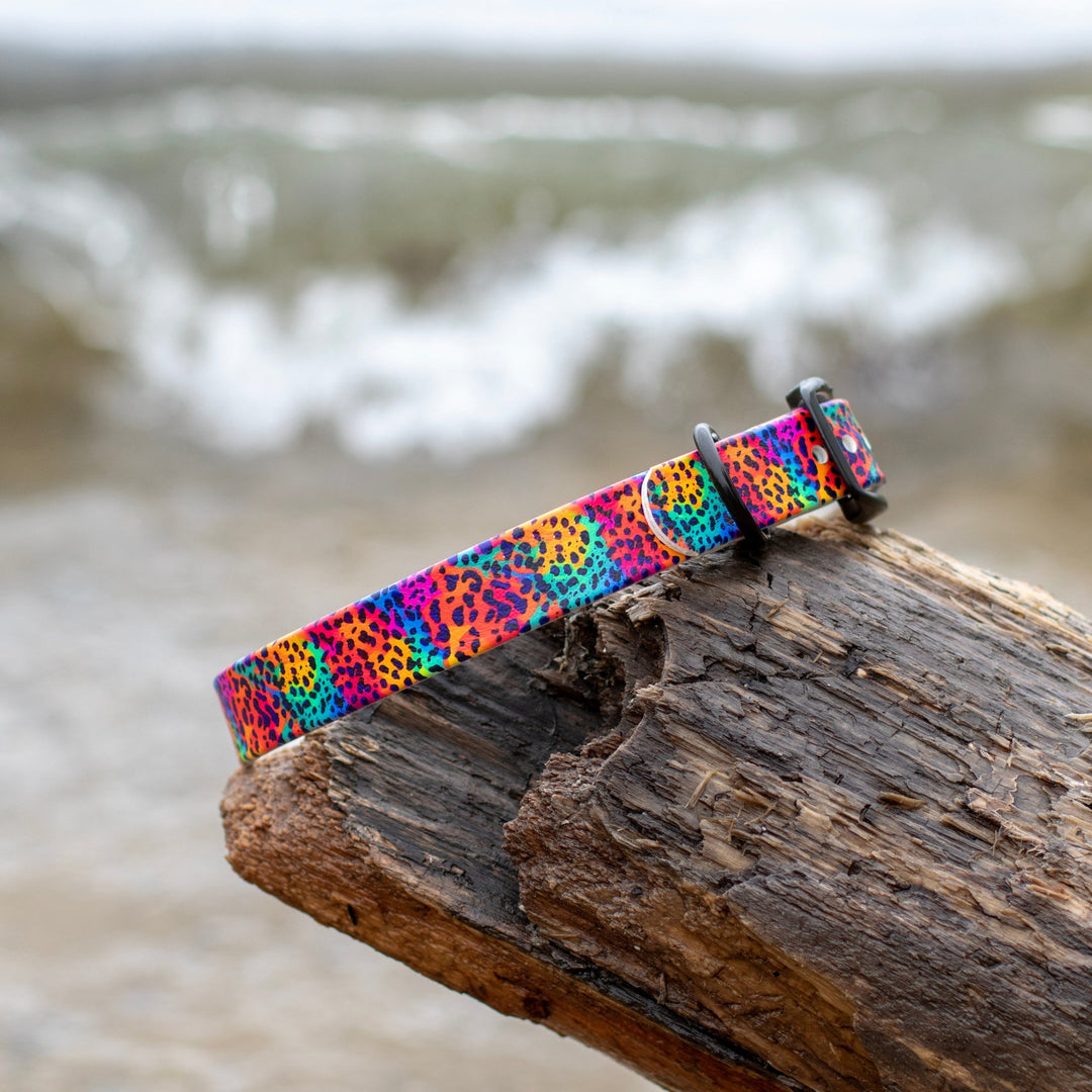 Rainbow Leopard BioThane® Dog Collar | SeaFlower Co