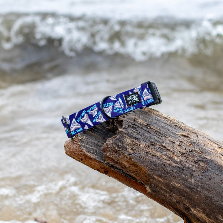 Shark Teeth Dog Collar | SeaFlower Co