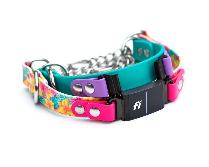 Fi 3 Compatible Waterproof Martingale