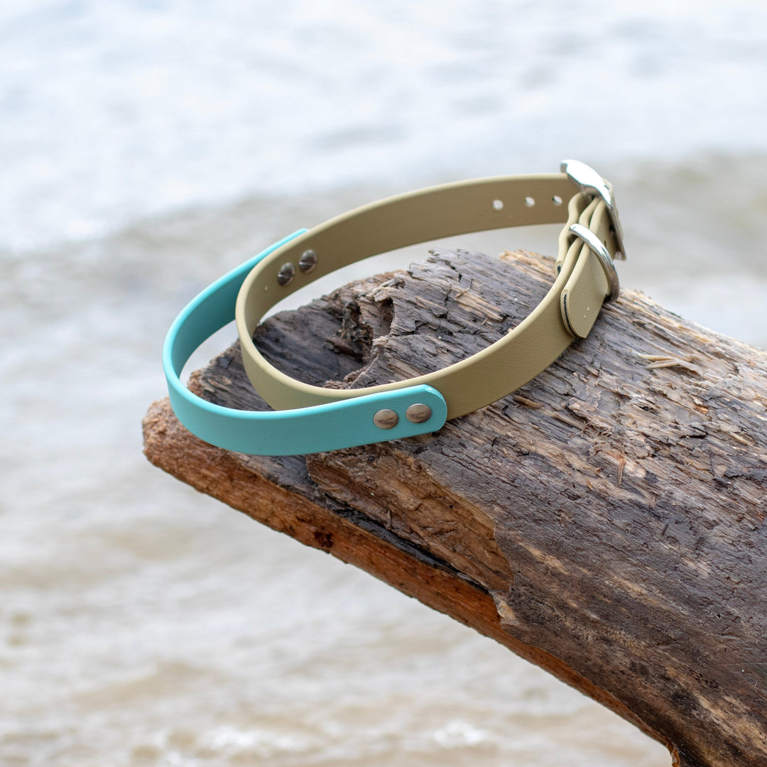 BioThane Collar With Handle | Waterproof Dog Gear