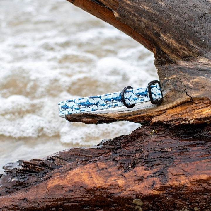 Great White Shark BioThane® Dog Collar | Waterproof Dog Gear
