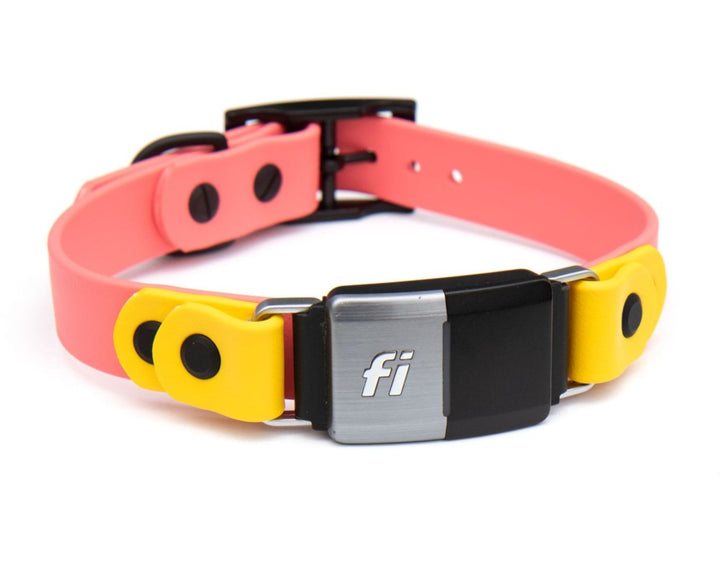 Fi Series 2 Compatible Color | SeaFlower Co