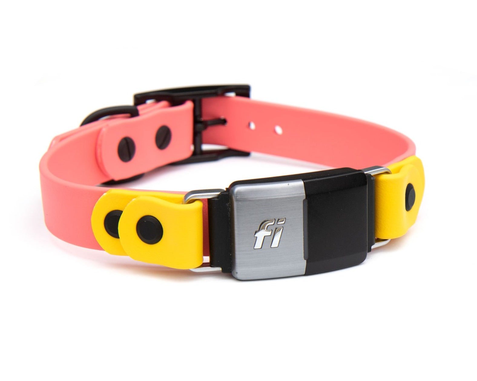 Fi store pet collar