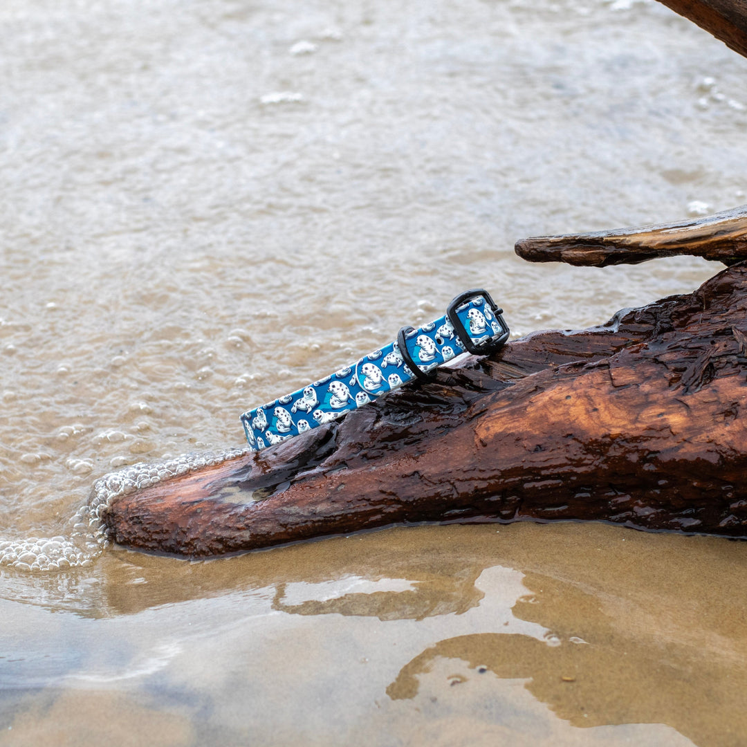 Cute Seals UV printed BioThane® Dog Collar | Waterproof Dog Gear | SeaFlower Co