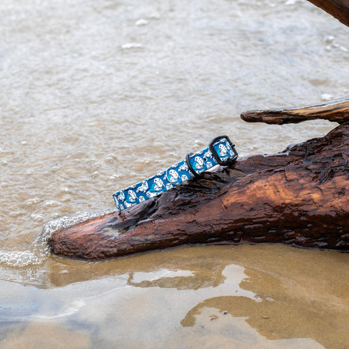 Cute Seals UV printed BioThane® Dog Collar | Waterproof Dog Gear | SeaFlower Co