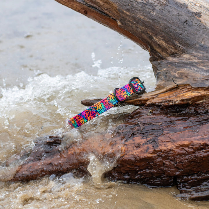 Rainbow Leopard BioThane® Dog Collar | SeaFlower Co