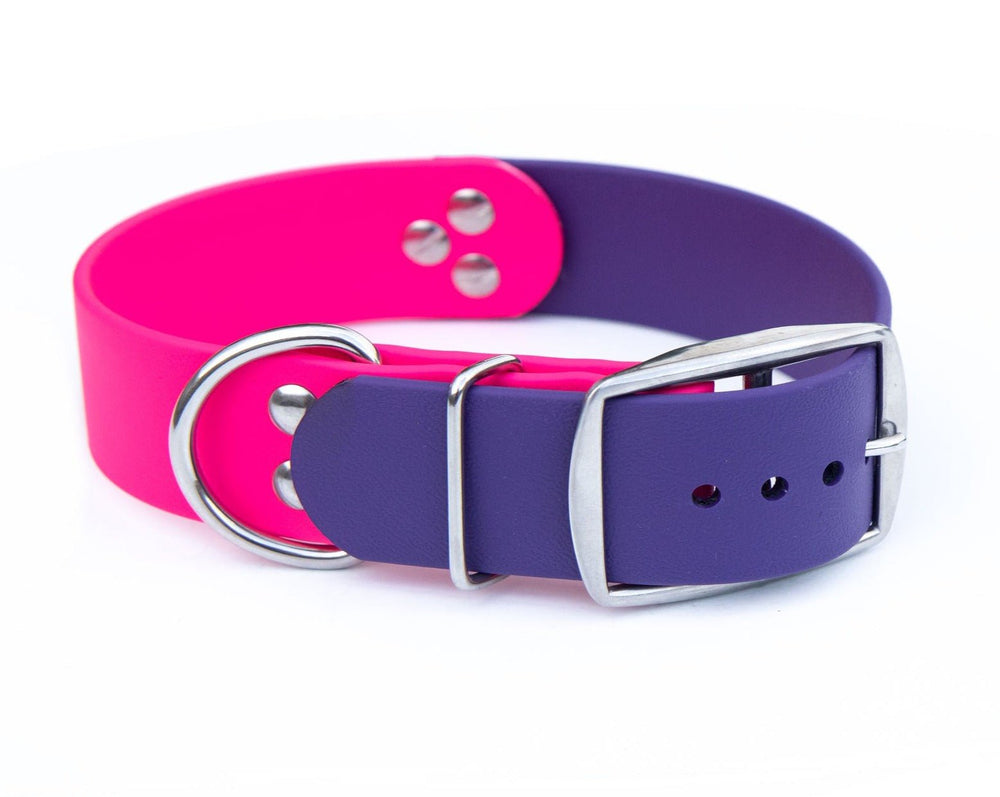 Two-Toned 1.5" BioThane Collar | SeaFlower Co