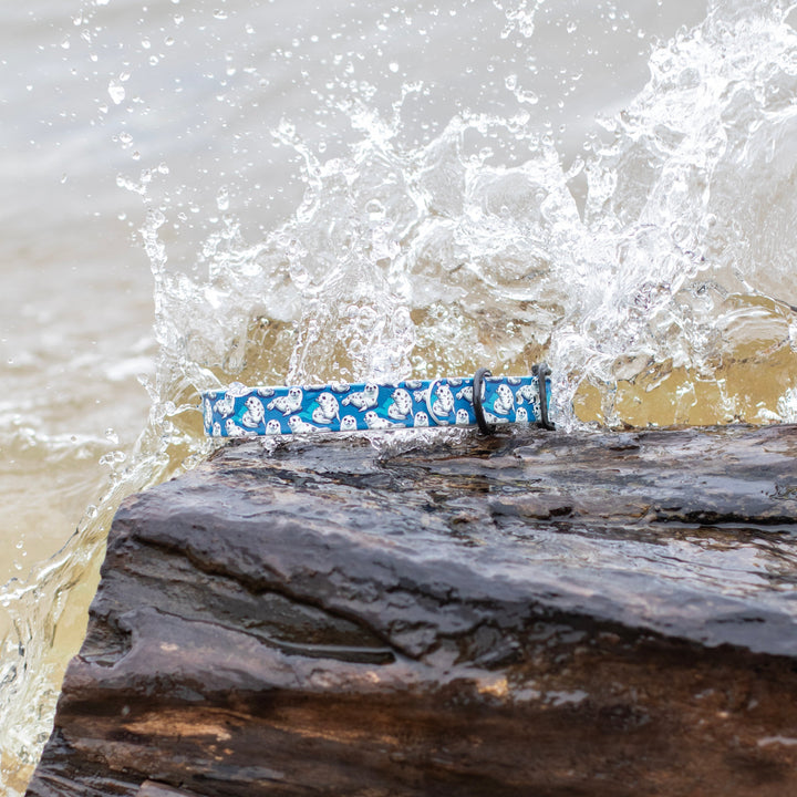 Cute Seals UV printed BioThane® Dog Collar | Waterproof Dog Gear | SeaFlower Co