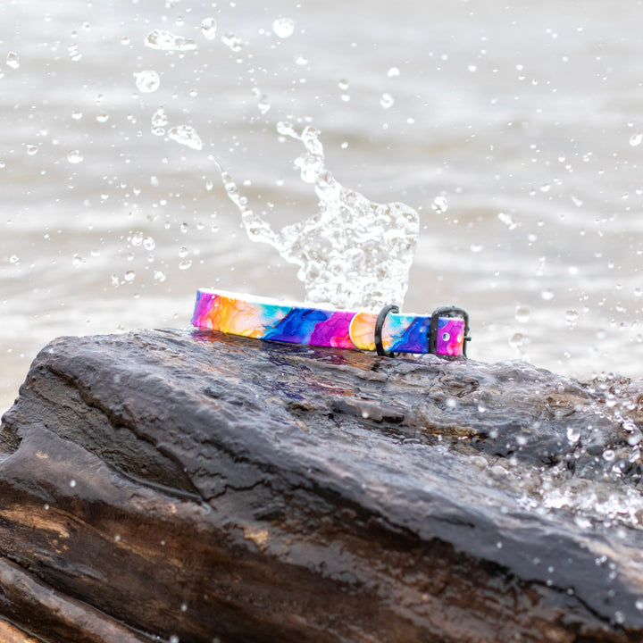 Vibrant Rainbow UV Printed BioThane® Collar | Waterproof Dog Gear | SeaFlower Co