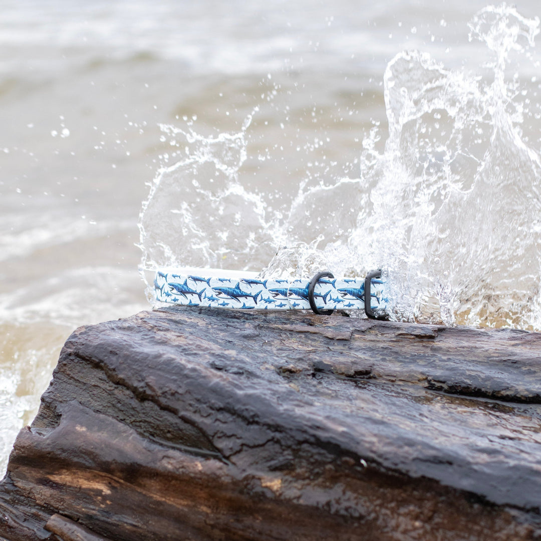 Great White Shark BioThane® Dog Collar | Waterproof Dog Gear