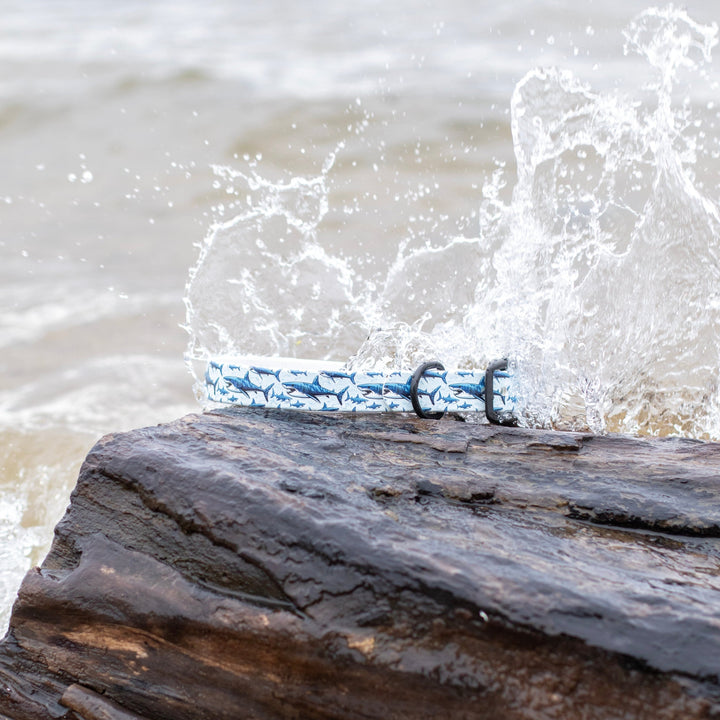 Great White Shark BioThane® Dog Collar | Waterproof Dog Gear