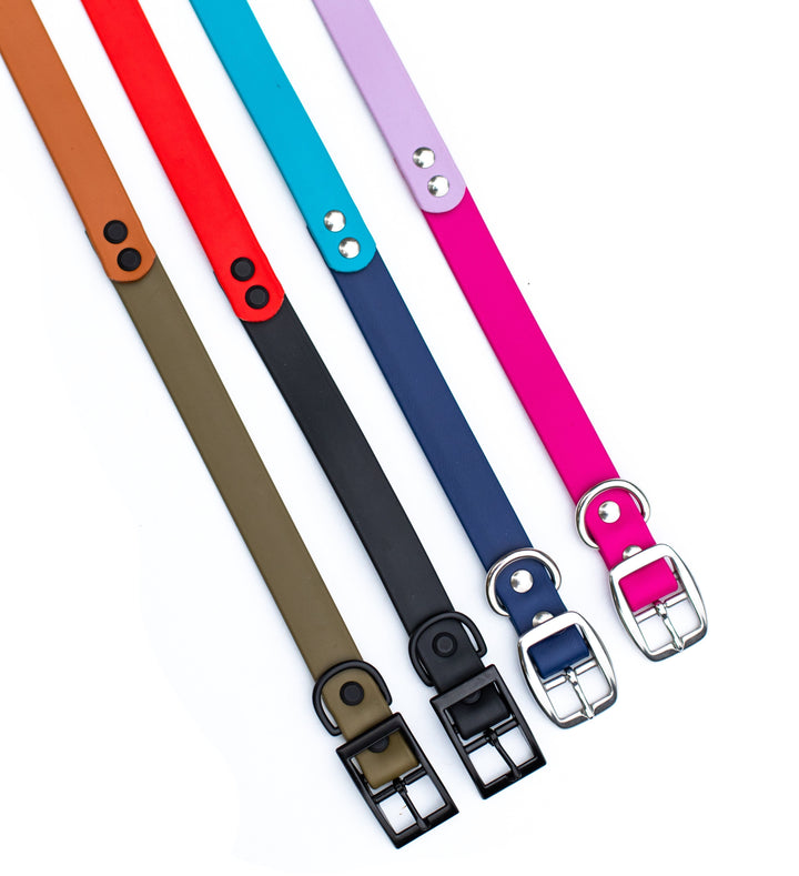 Two-Toned BioThane® Collars