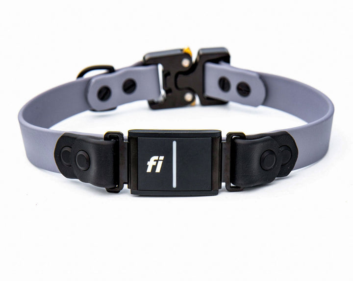 Fi compatible Collar Series 3 With Cobra Buckle | SeaFlower Co