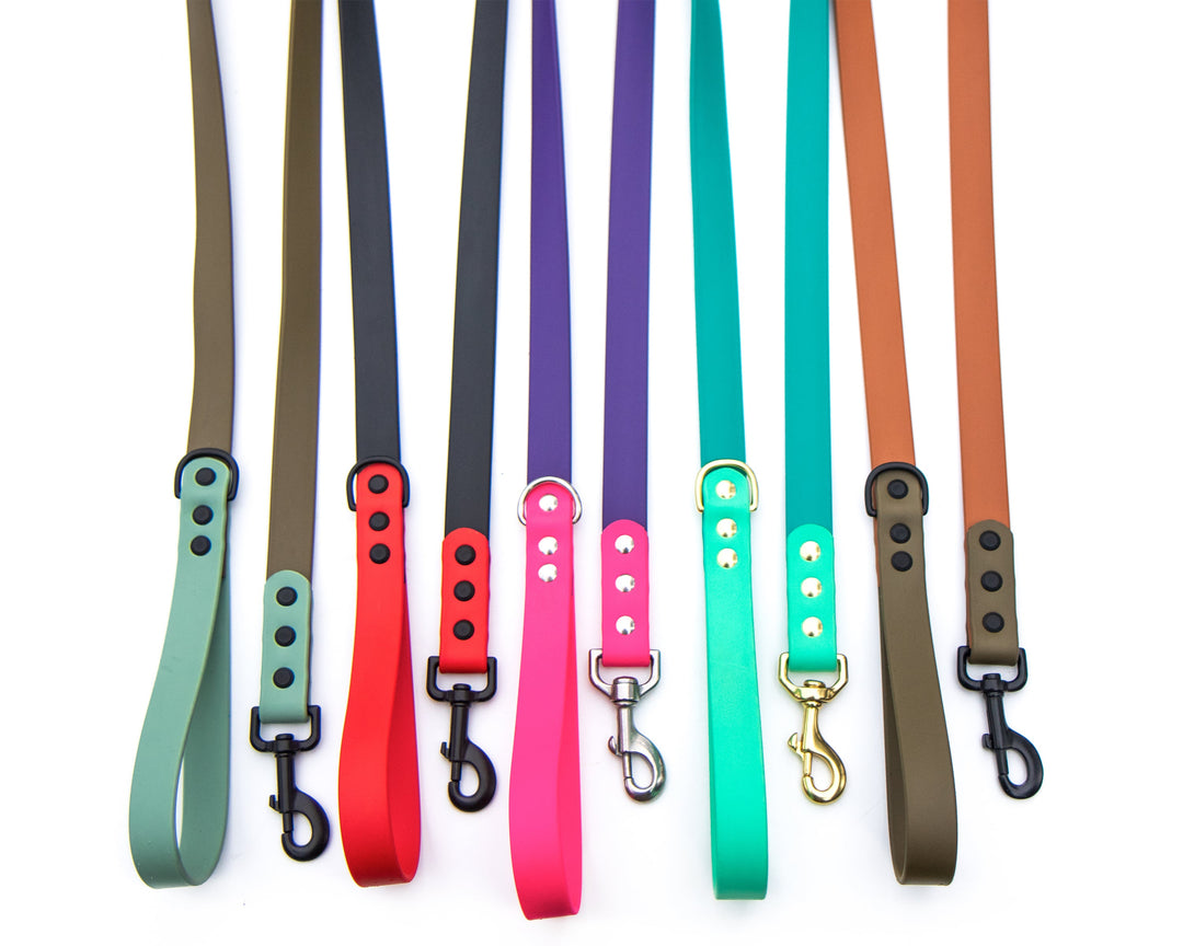 Two Toned BioThane Leashes | SeaFlower Co
