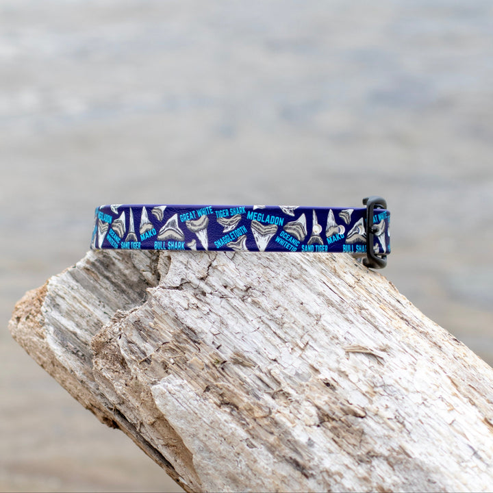 Shark Teeth BioThane® Dog Collar | Waterproof Dog Gear