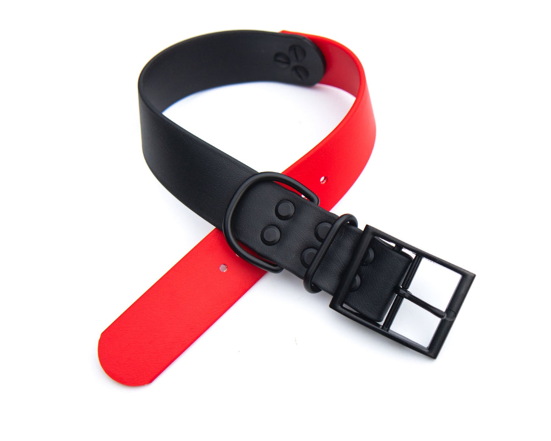 1.5" Two-Toned BioThane® Collars