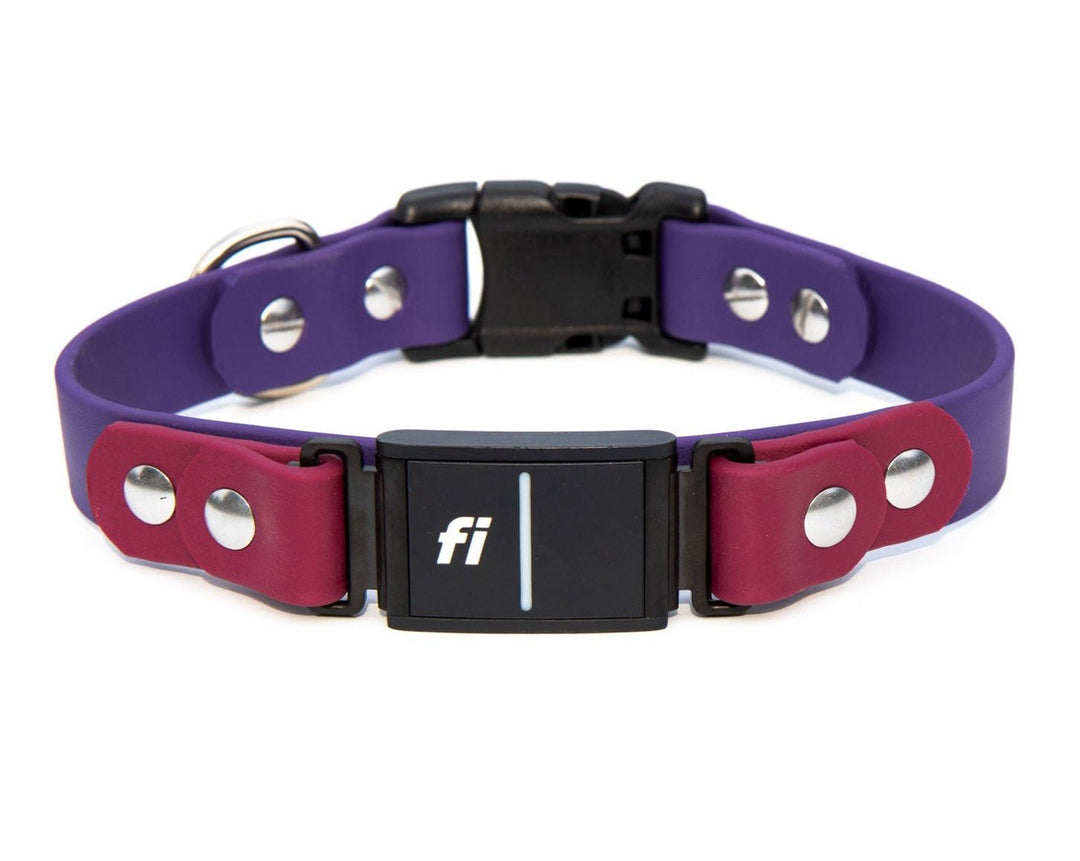 Fi Compatible Series 3 BioThane® Collar With Plastic Buckle | SeaFlower Co