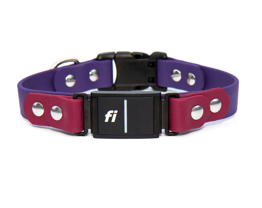 Fi Compatible Series 3 BioThane® Collar With Plastic Buckle | SeaFlower Co
